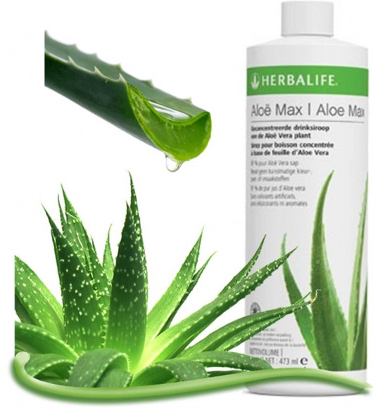 aloe vera organic 5 in 1 Organic Aloe Vera Leaf Powder main image 1